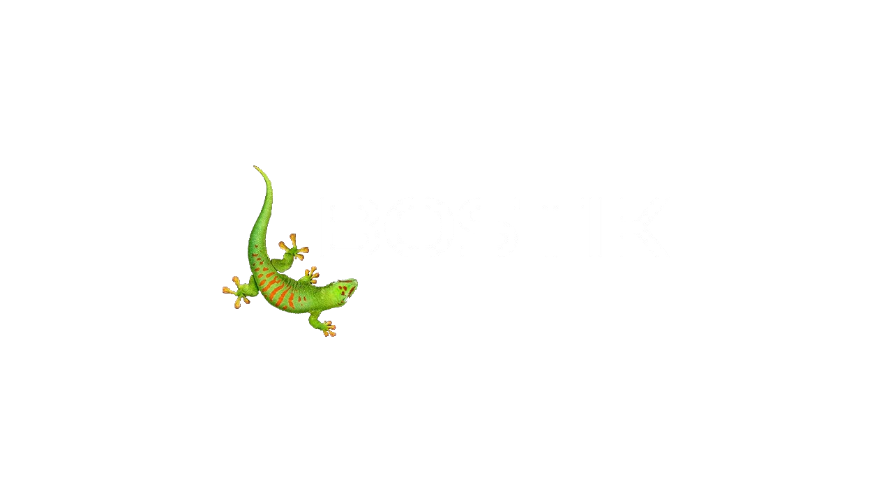 Bostik