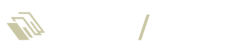 DSW Panels
